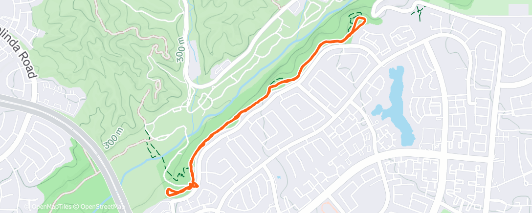 Map of the activity, Loving His Energy Today!! ❤️🐶🎄