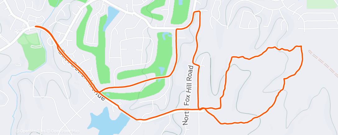 Mappa dell'attività Easy Z2 Road & Trail night run