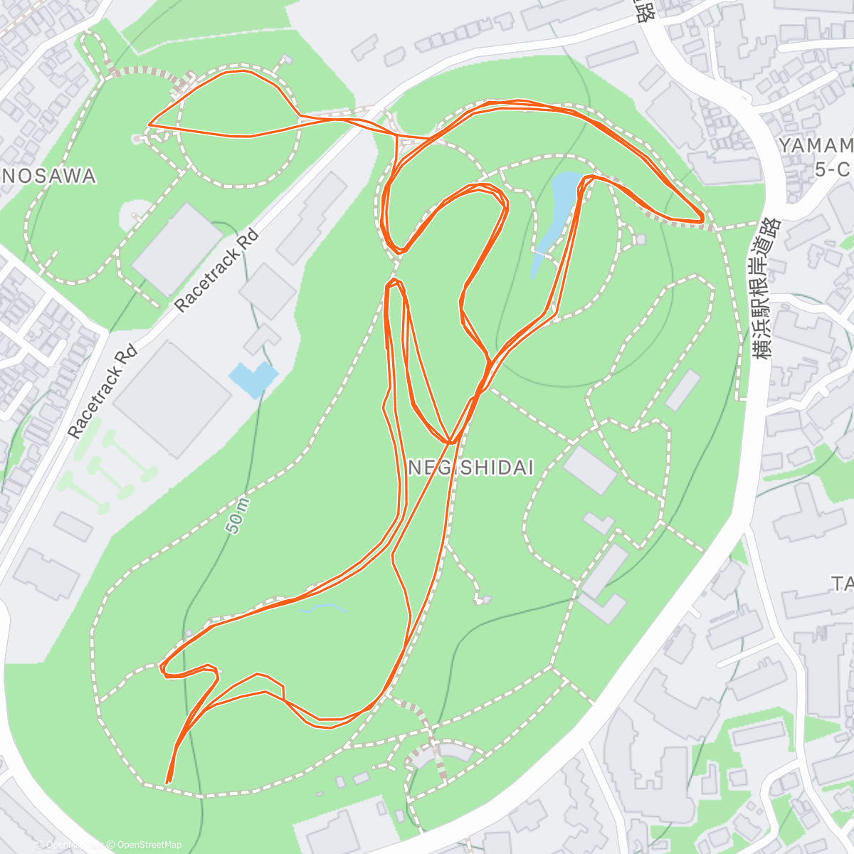 Map of the activity, サタトレペース走