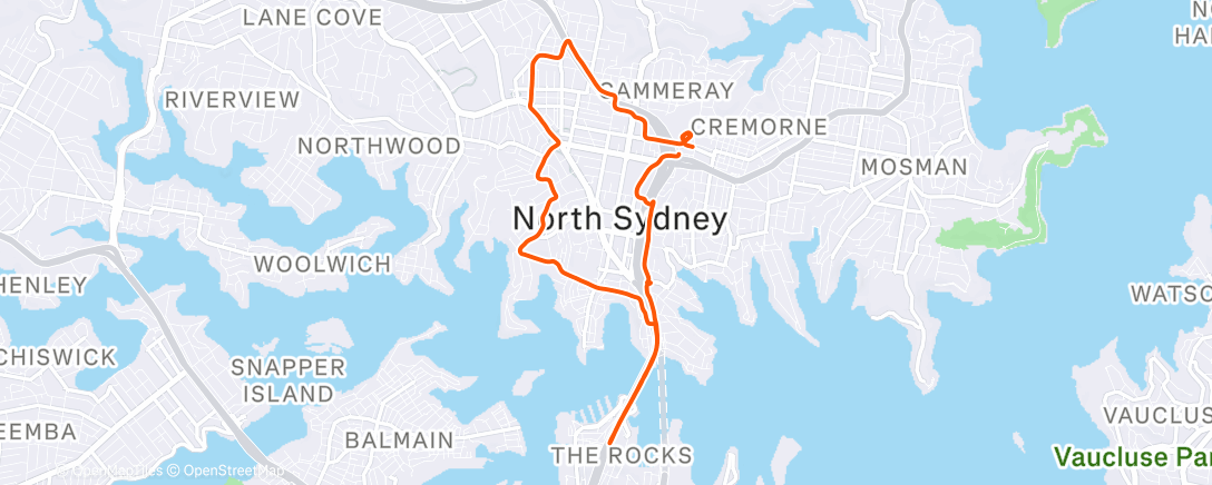 Map of the activity, Afternoon Run