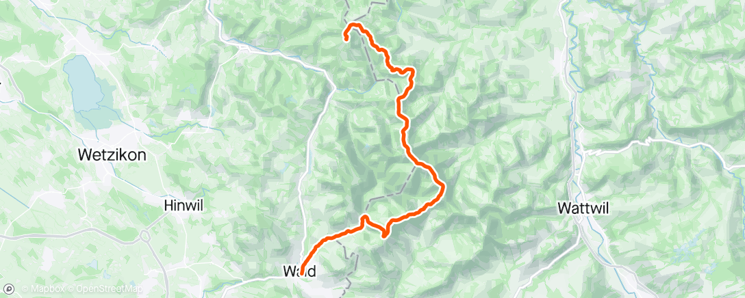 Map of the activity, Tössbergland Trails 🌲⛰️