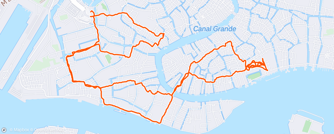 Карта физической активности (Venice Museum)