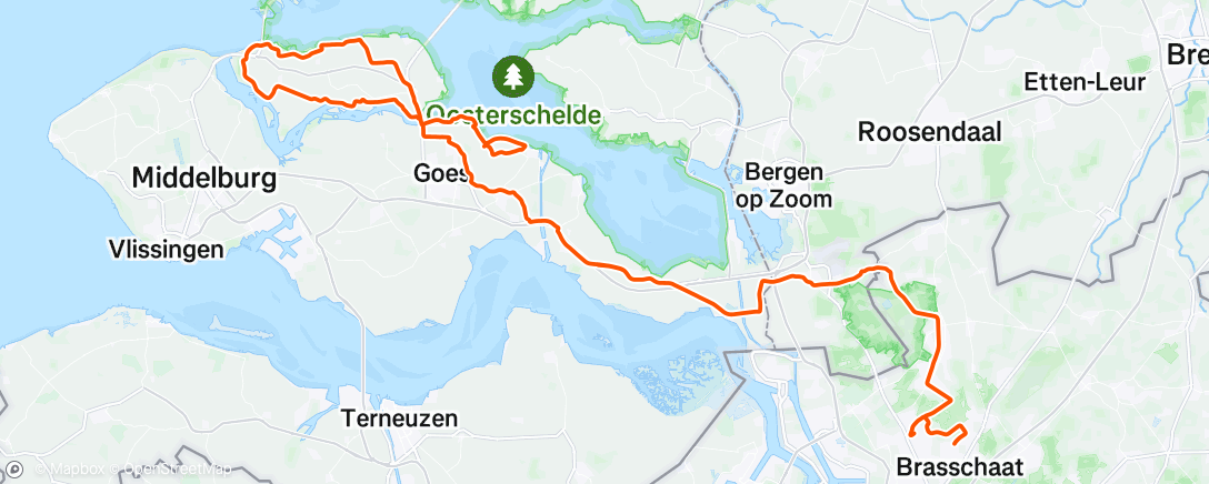 Карта физической активности (Middagrit)