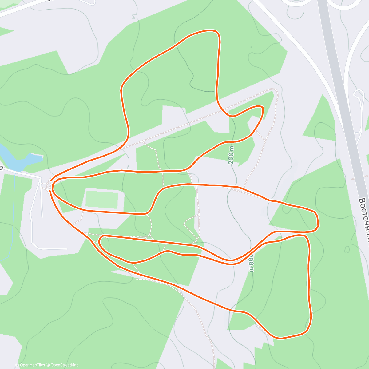 Карта физической активности (Скиджоринг, л/б Пермские Медведи)