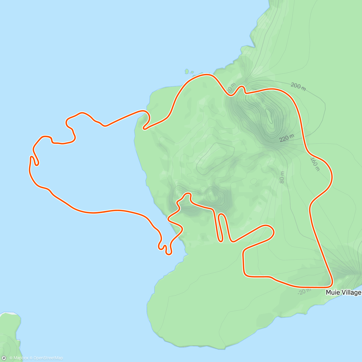 Map of the activity, Zwift - 40/20's into FTP #1 in Watopia