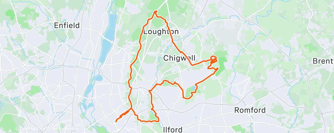 Карта физической активности (Bunnyhops)