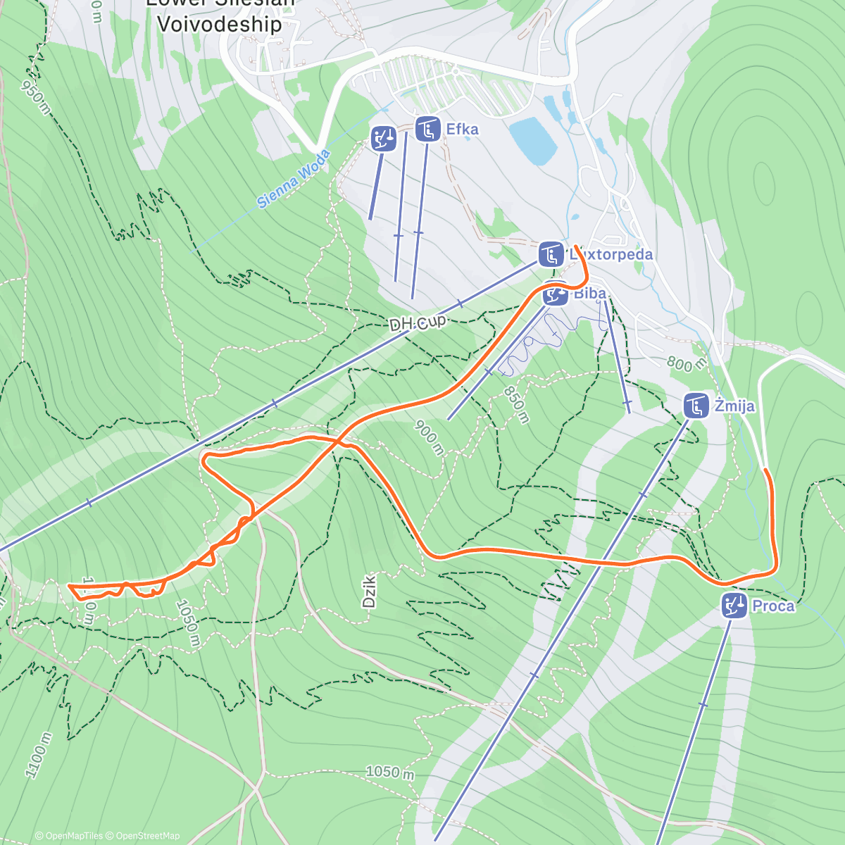 Map of the activity, Poranny check