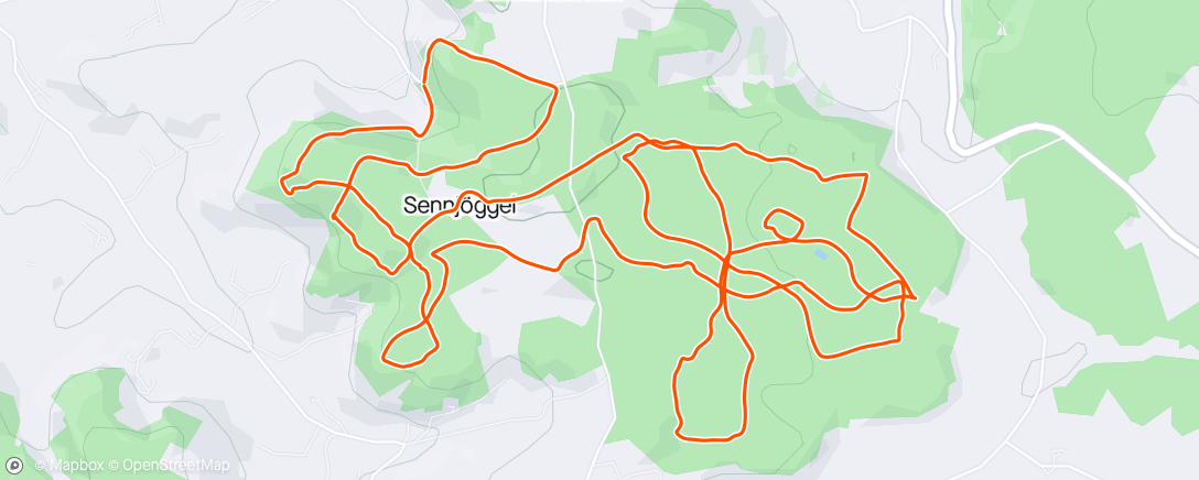 Карта физической активности (Lauf am Morgen)