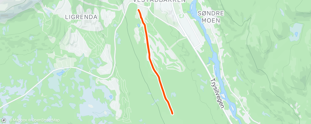 Map of the activity, Fick med Viktor på en liten kvällstur