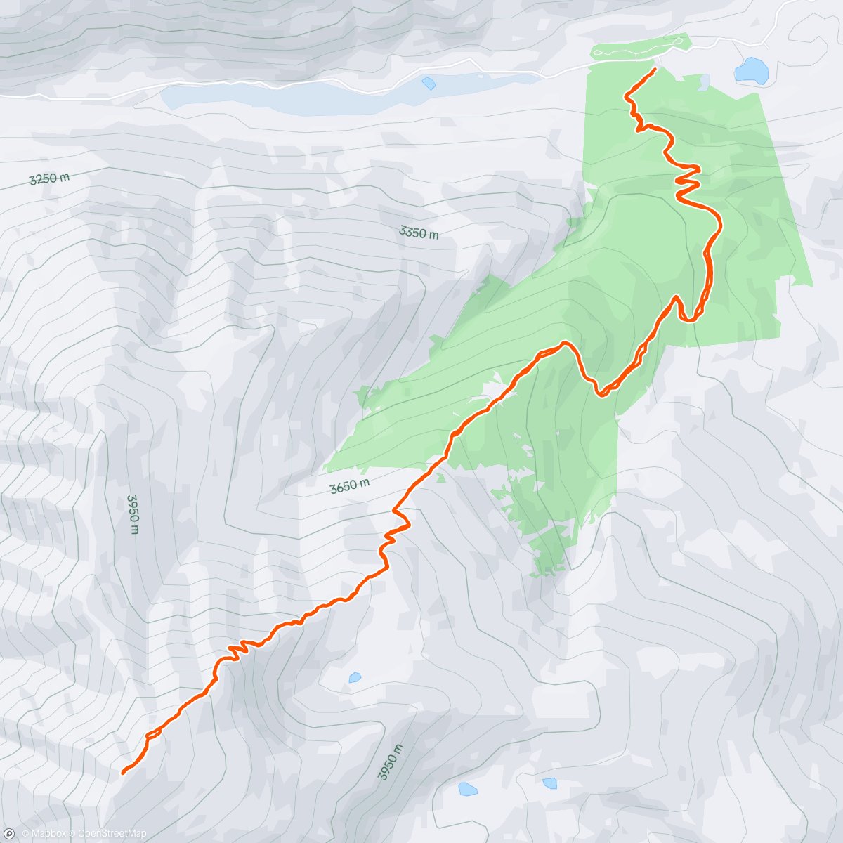 Map of the activity, Elbert!