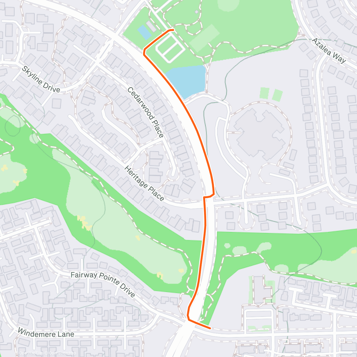 Map of the activity, 🐶🐶
