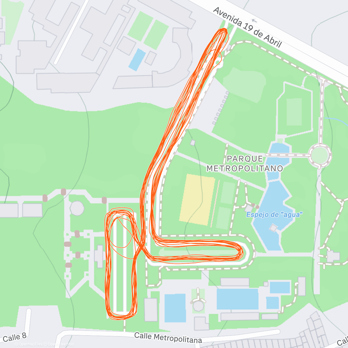 Карта физической активности (Carrera de tarde)