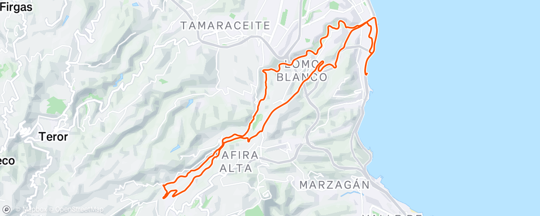 Map of the activity, Barranco Guiniguada🐾🐝