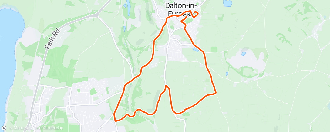 Map of the activity, Dalton 10k
