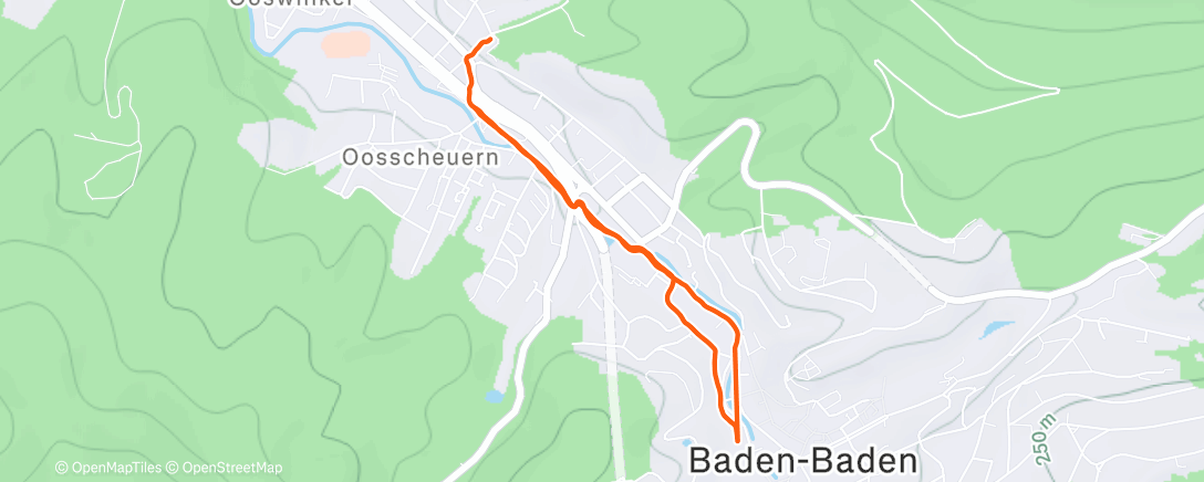 Map of the activity, 傍晚跑步