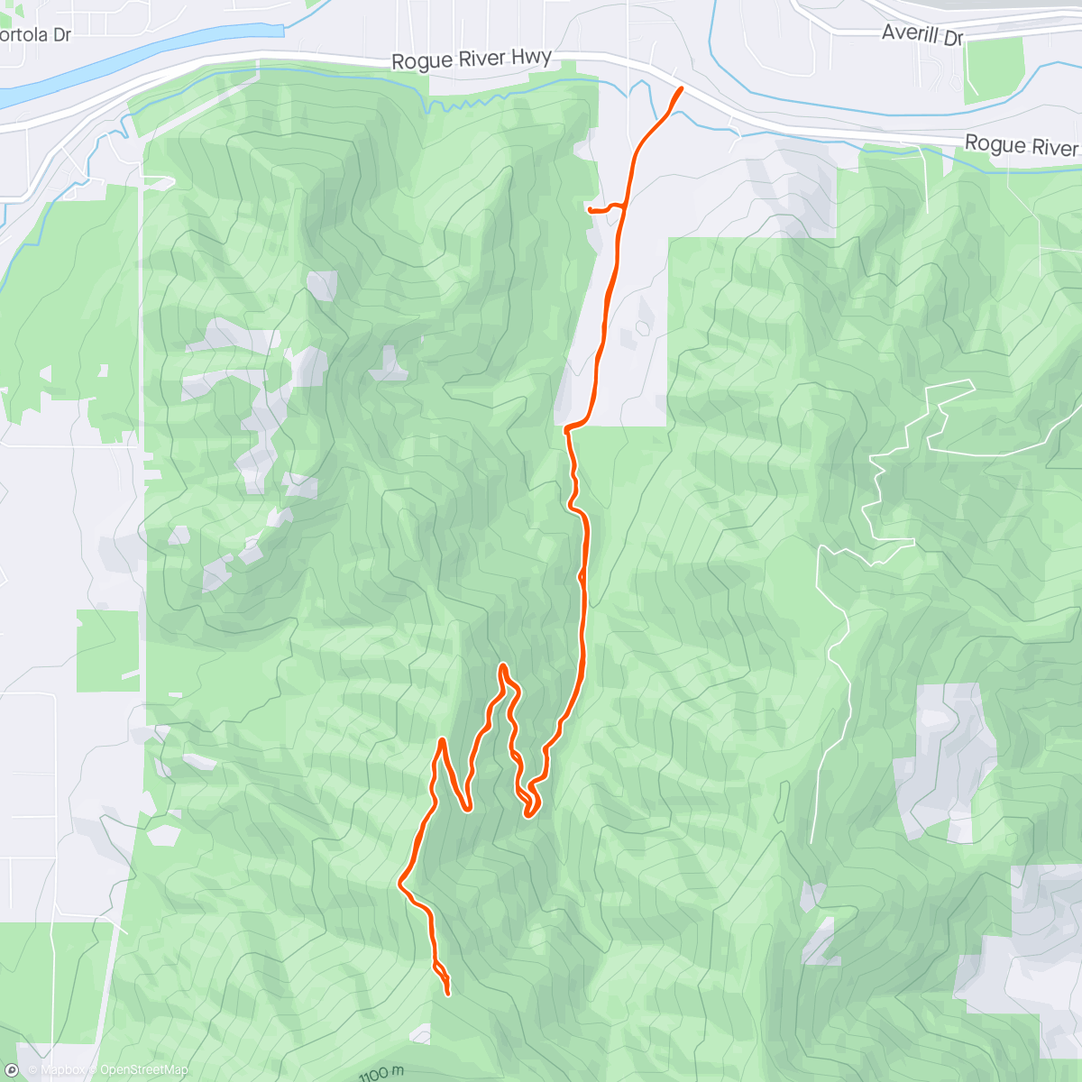 Map of the activity, Bluey in the Rain