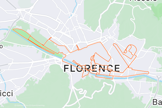 Florence Marathon, 30 Nov, 2025 (Sun) Ahotu