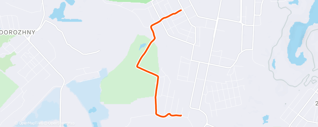 Карта физической активности (Дневной забег)