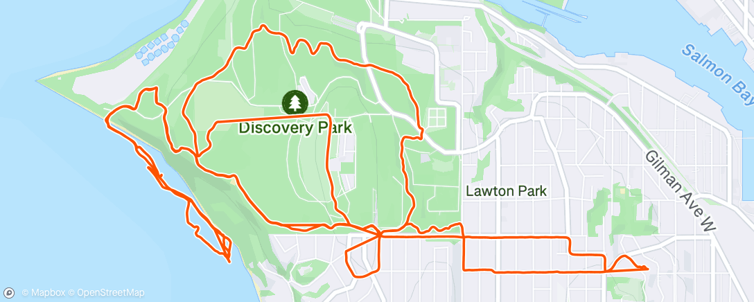 Map of the activity, Afternoon Run