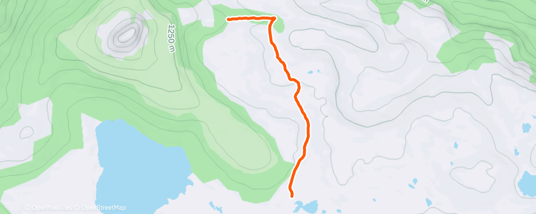 Map of the activity, Morning Run