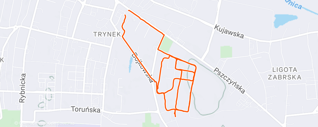 Map of the activity, Afternoon Walk
