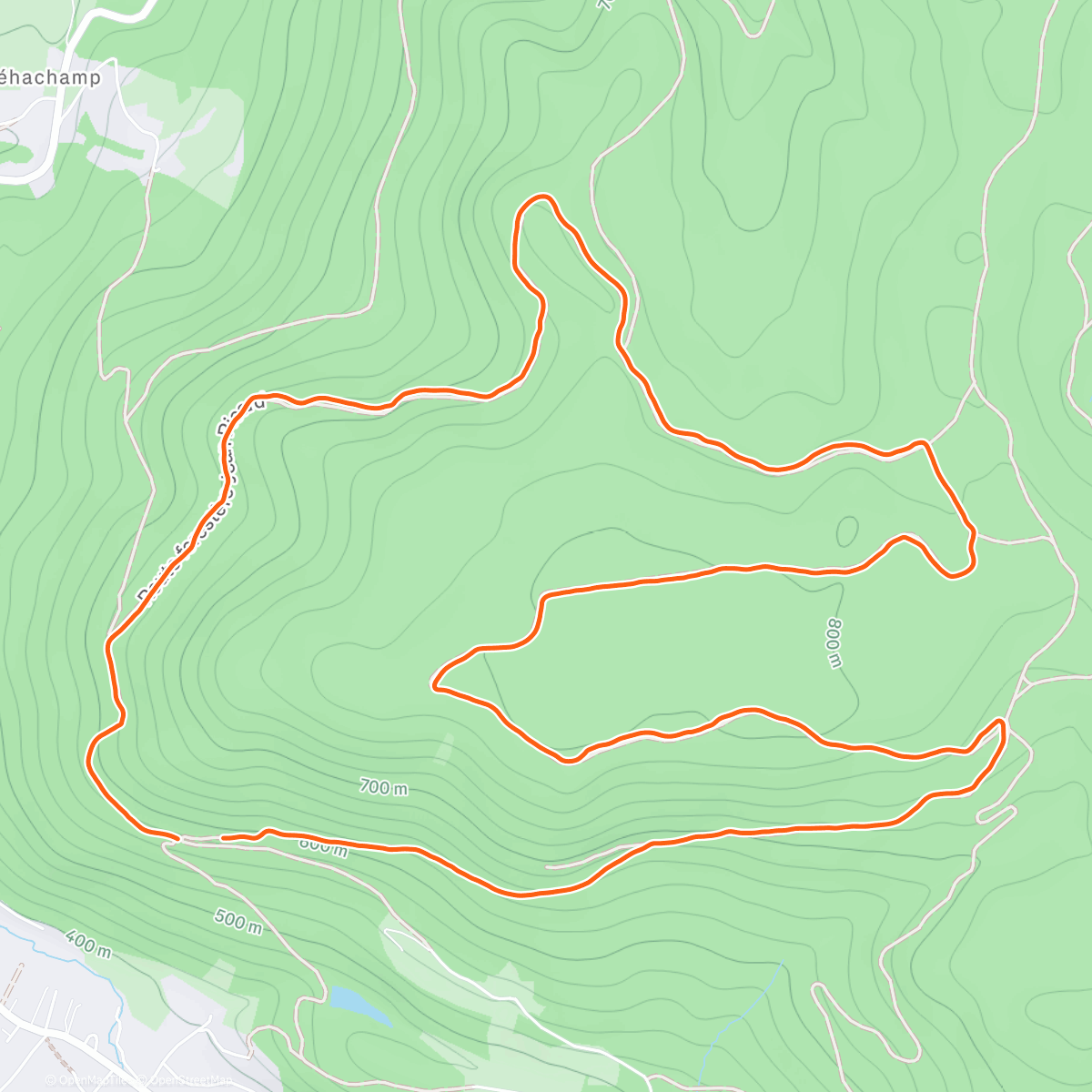 Map of the activity, Morning Run