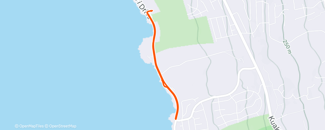 Map of the activity, Morning Run