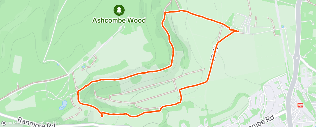 Map of the activity, Afternoon Walk