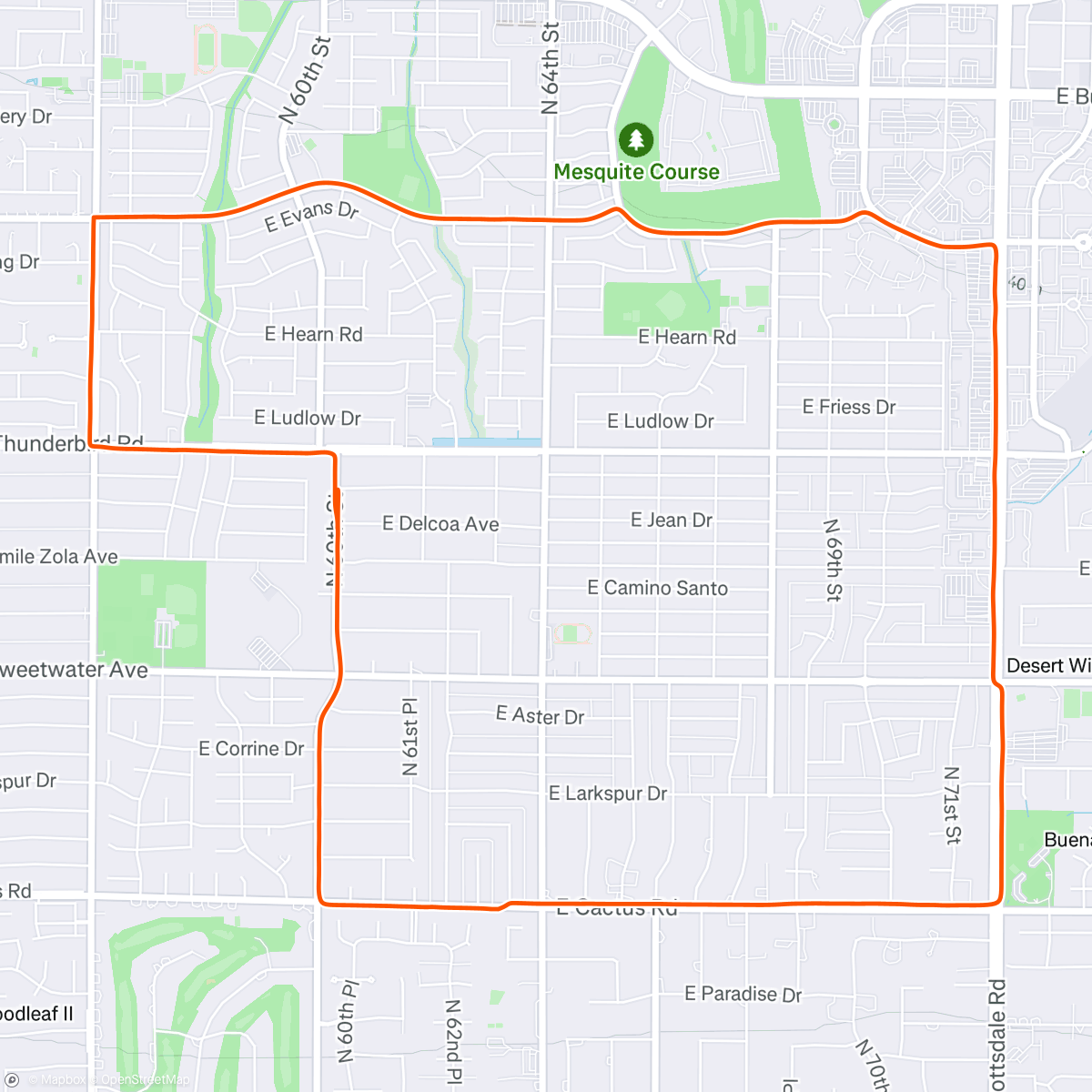 Map of the activity, Cooked roadkill