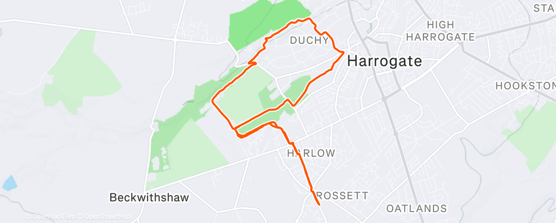 Mappa dell'attività Morning Run