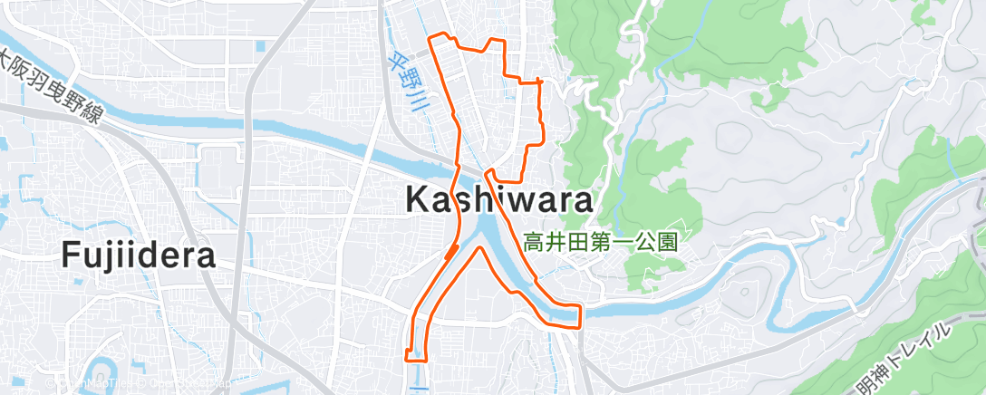 Map of the activity, Morning Run