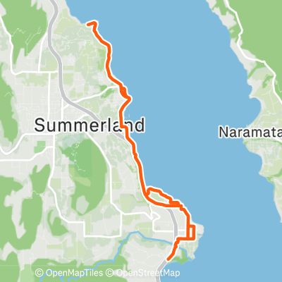 Trout Creek | 19.8 km Running Route on Strava