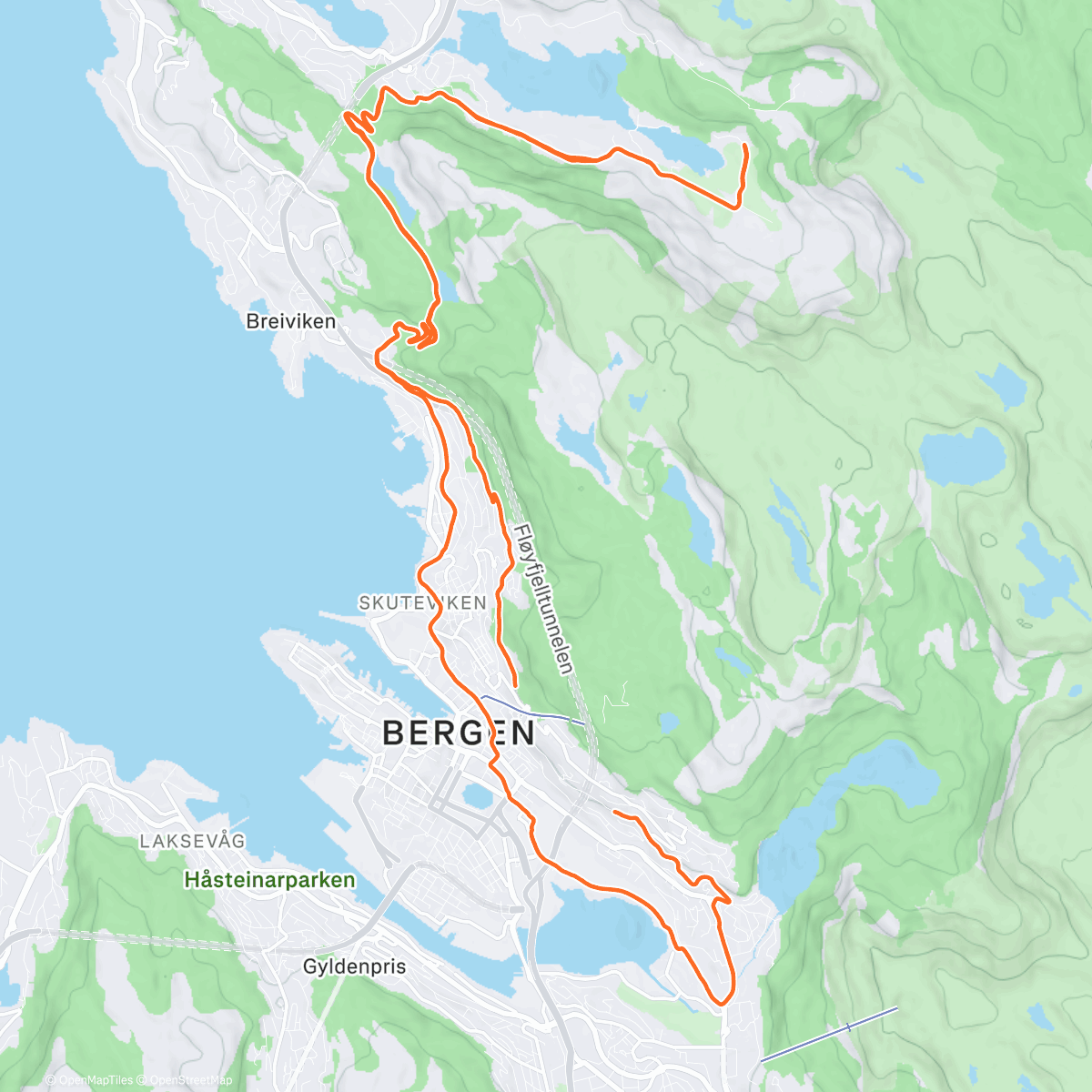 Mappa dell'attività 2025 🫡 see yeah