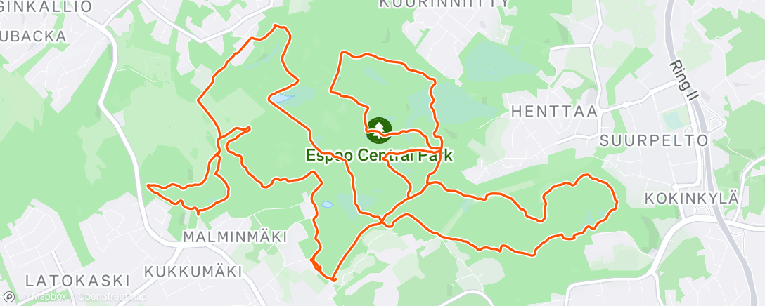 Карта физической активности (Sunday Morning Run)