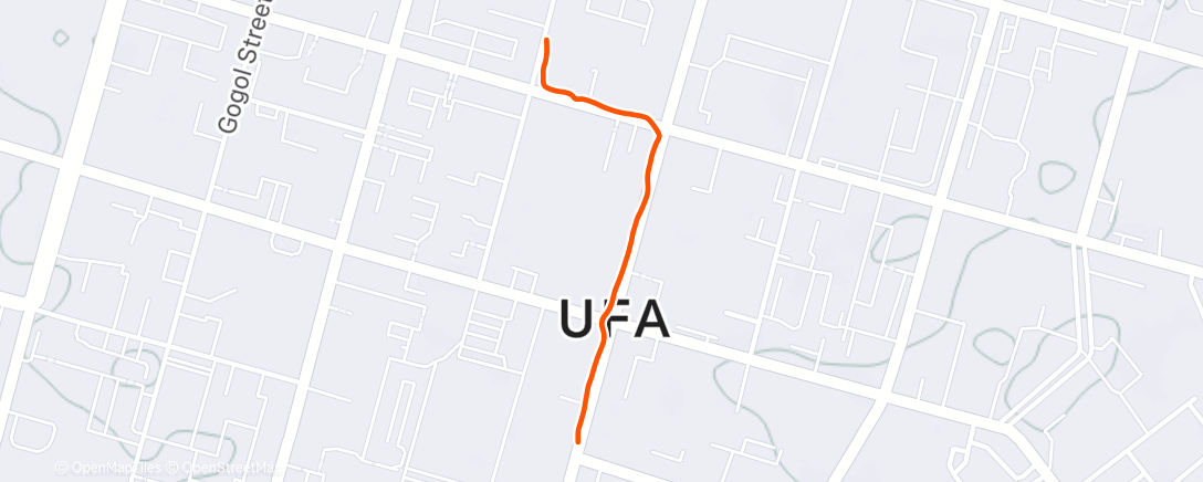 Map of the activity, Дневной забег