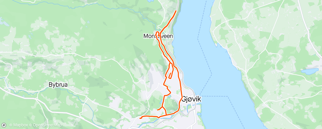Map of the activity, 5 × 2km