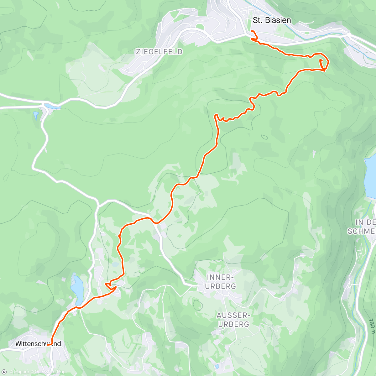 Map of the activity, Sankt Blasien to Wittenschwand