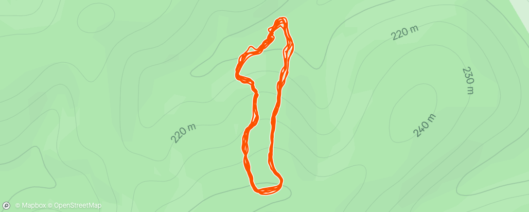 Map of the activity, This run looks like a dildo with a clit vibrator