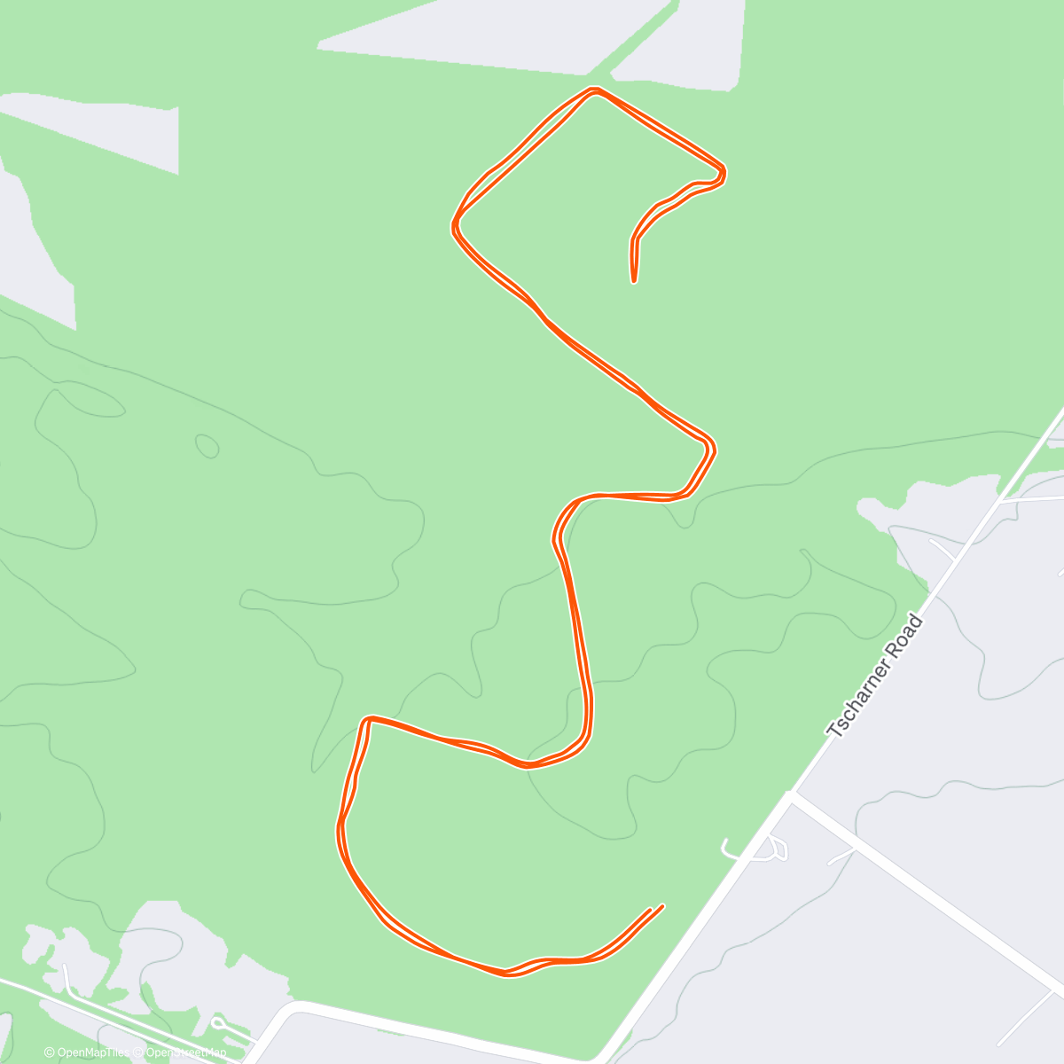 Map of the activity, Afternoon Trail Run