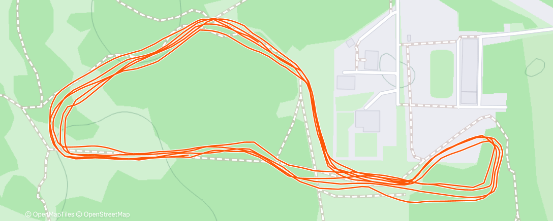 Map of the activity, Ночной забег
