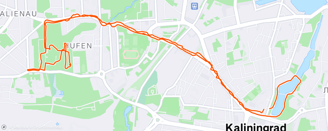 Map of the activity, Morning Run