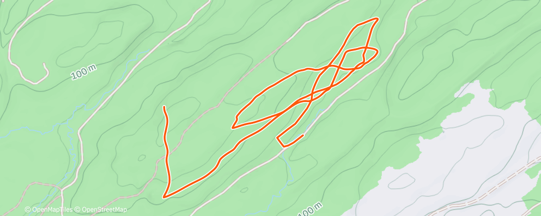 Карта физической активности (Christmas Cup day 1)