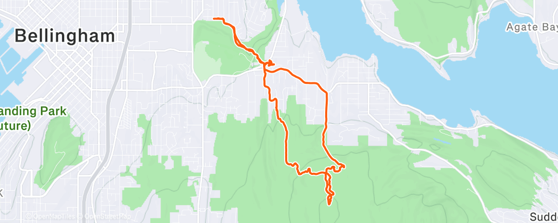 Map of the activity, Singing the cougars away and pre-celebratory donuts
