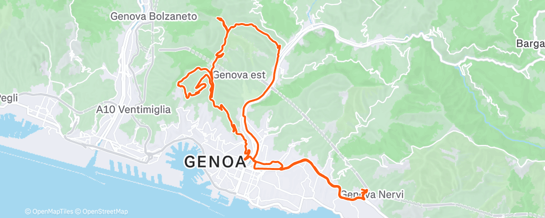 Карта физической активности (Pedalata mattutina)