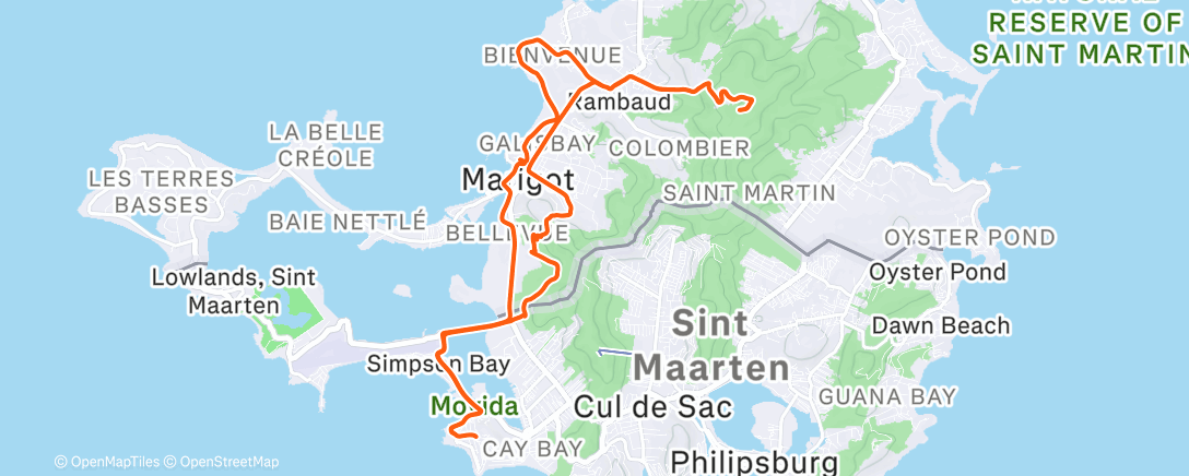 Карта физической активности (Morning Ride)