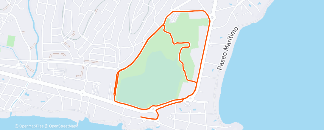 Mappa dell'attività Afternoon Run