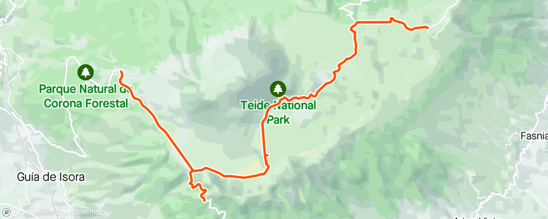 Map of the activity, Teide #1