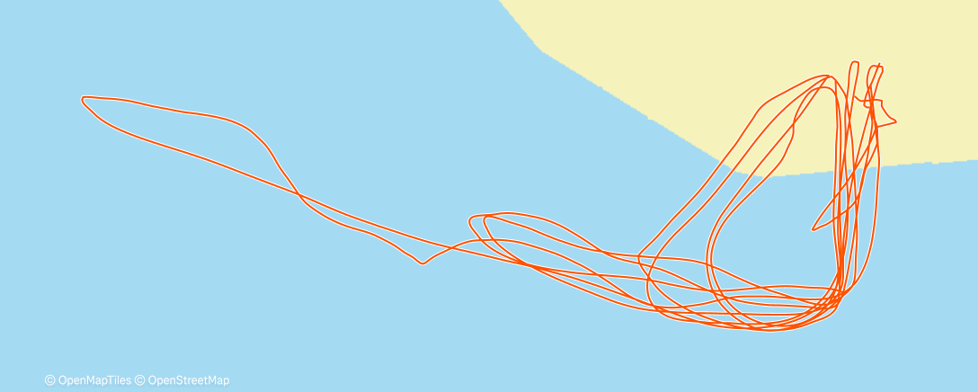 Mappa dell'attività Natação matinal