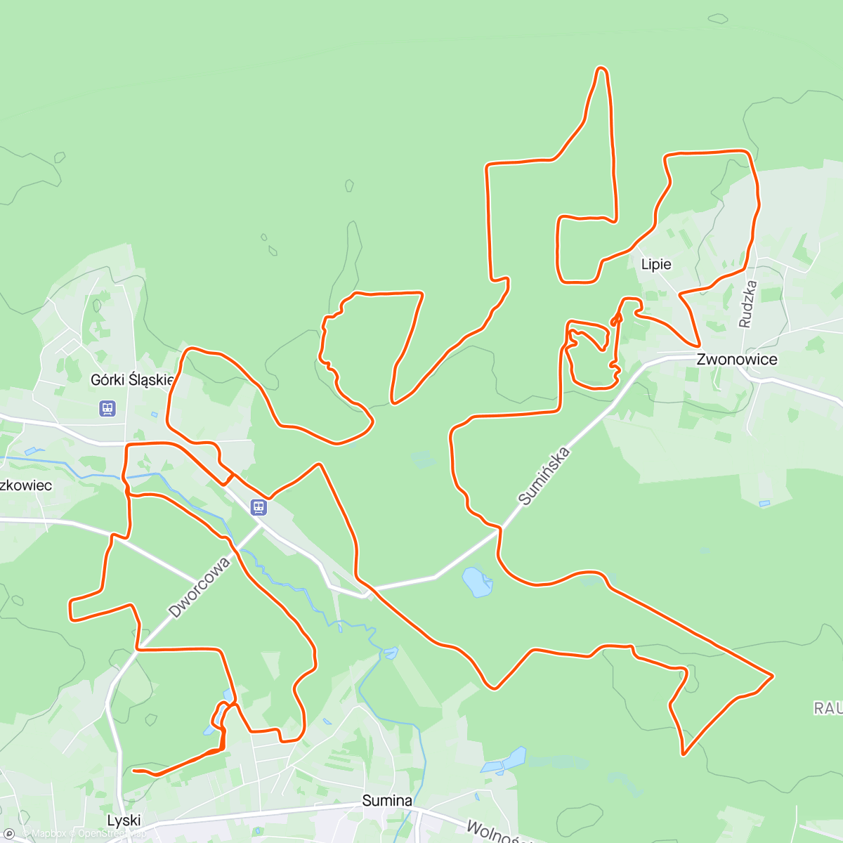 Mapa de la actividad (Bike Race Lyski)