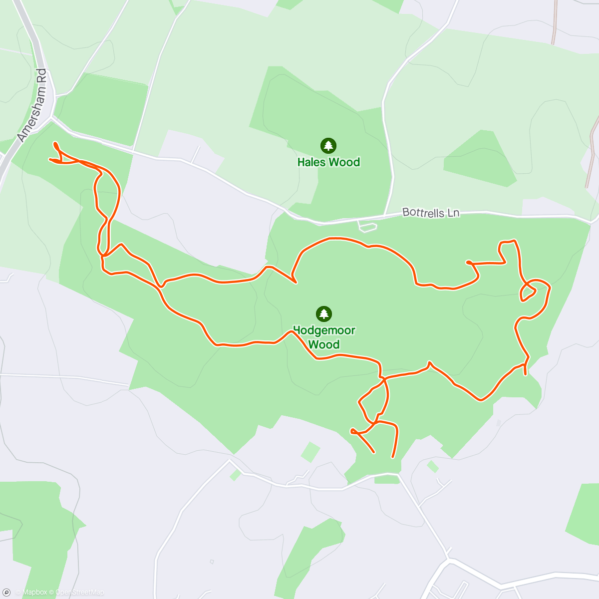 Map of the activity, Hodgemoor Woods SCOA orienteering event - Green course